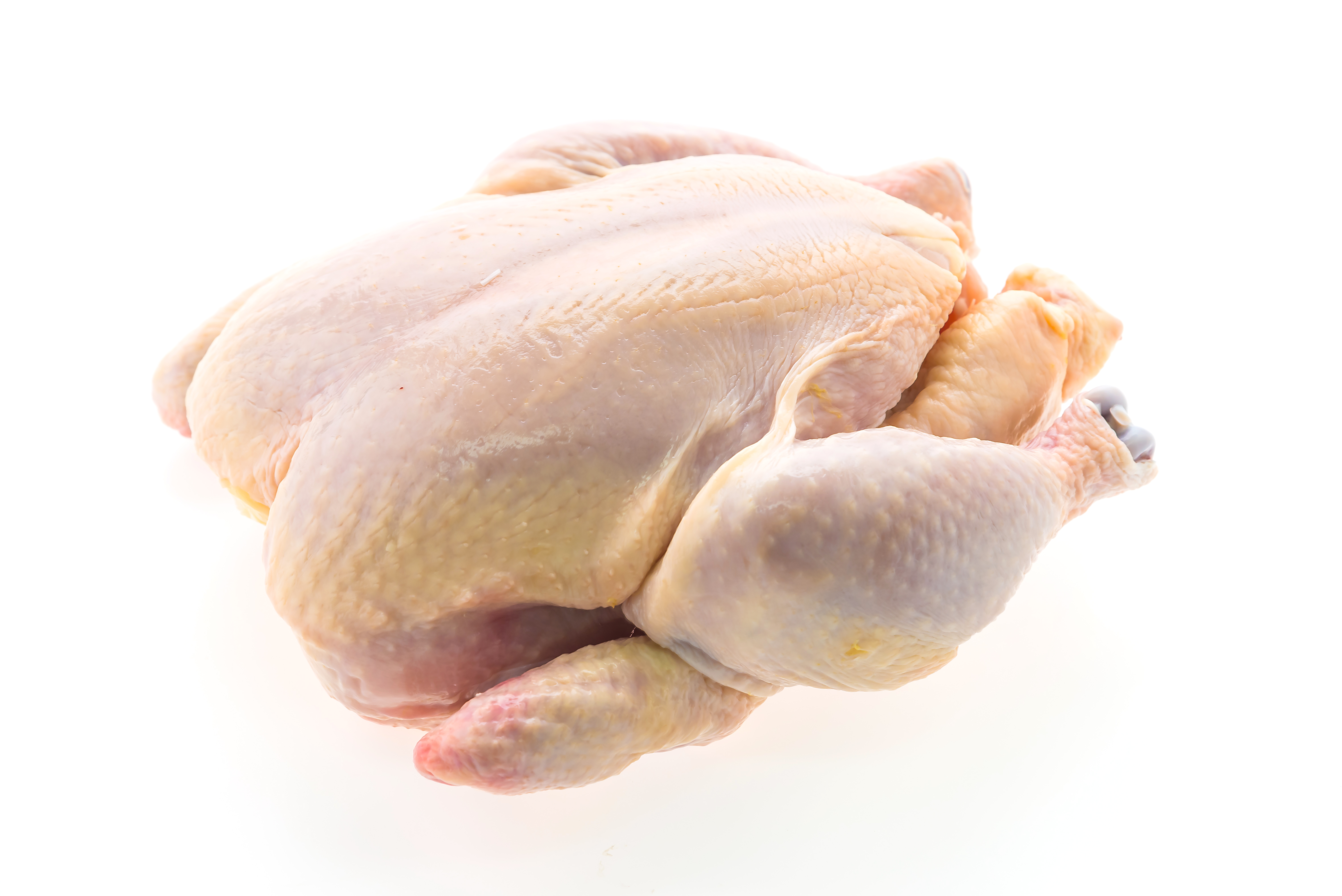 Daging Ayam 