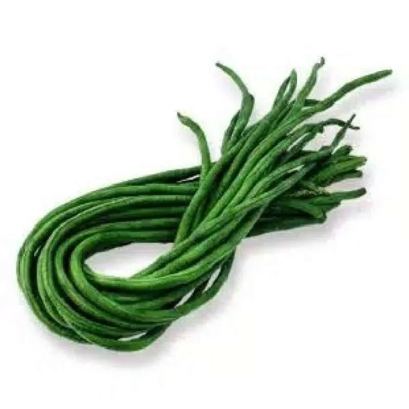 Kacang Panjang